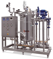 Customized production-scale reactors