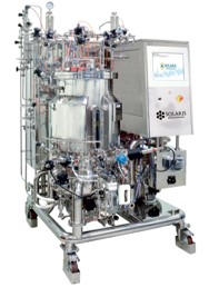 Customized SIP bioreactors / fermentors - S Series