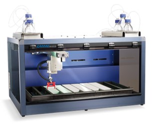 Dried blood spot (DBS) analyzer 